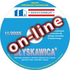 Błyskawica 11/2025 on-line