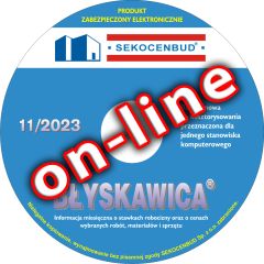 Błyskawica 11/2023 on-line