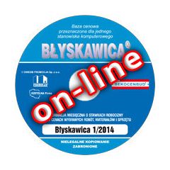 Błyskawica 1/2014 on-line